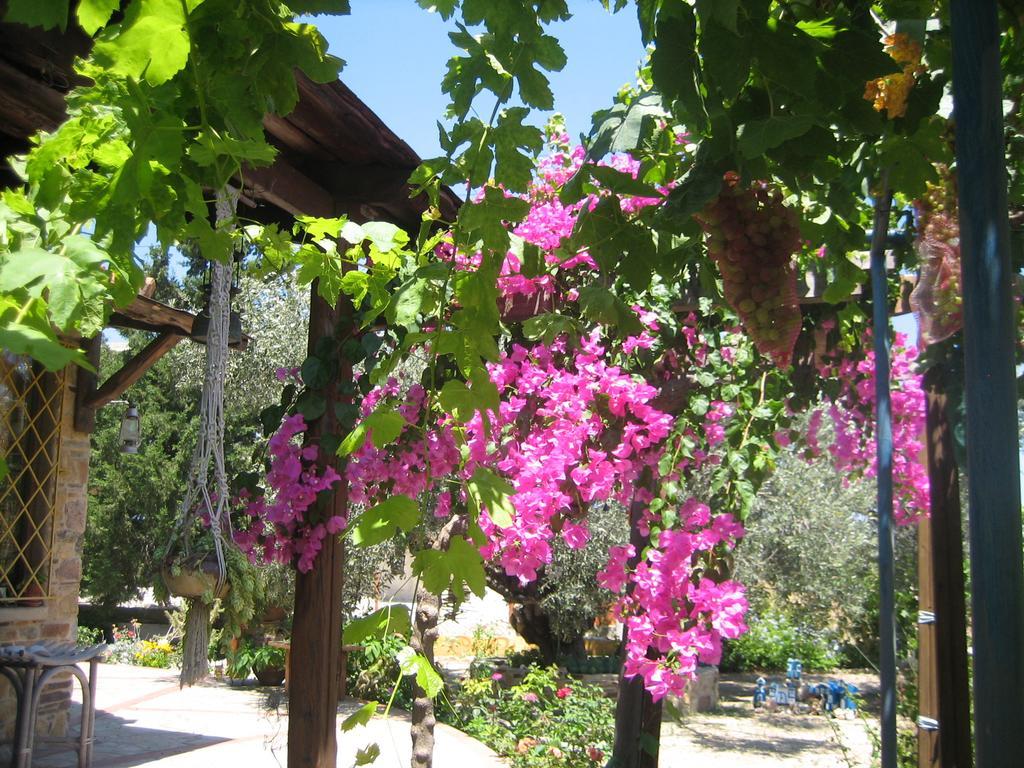 Villa Ktima Ellopia à Kolymbia Extérieur photo