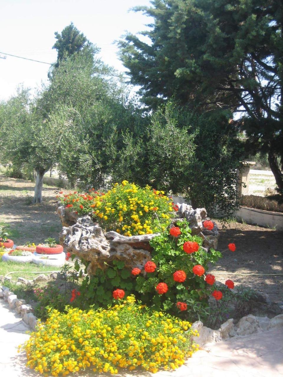 Villa Ktima Ellopia à Kolymbia Extérieur photo