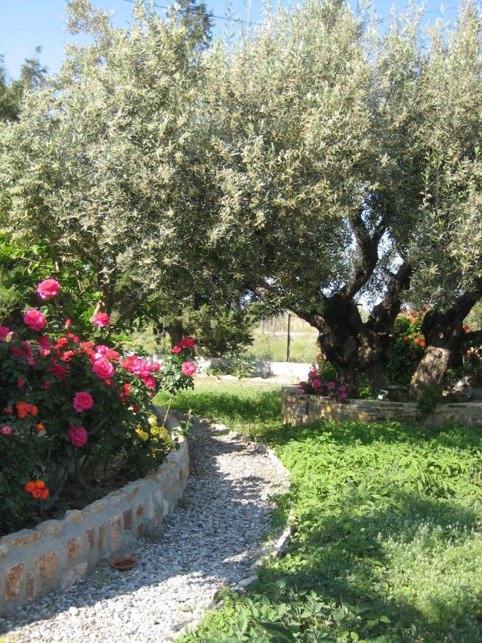 Villa Ktima Ellopia à Kolymbia Extérieur photo